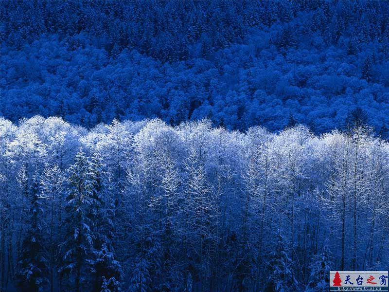 有钱人玩的游戏