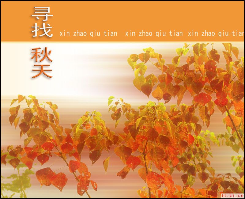 寻找秋天