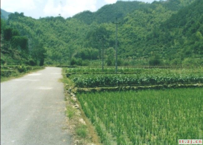 啥时候再去九遮山，我也去