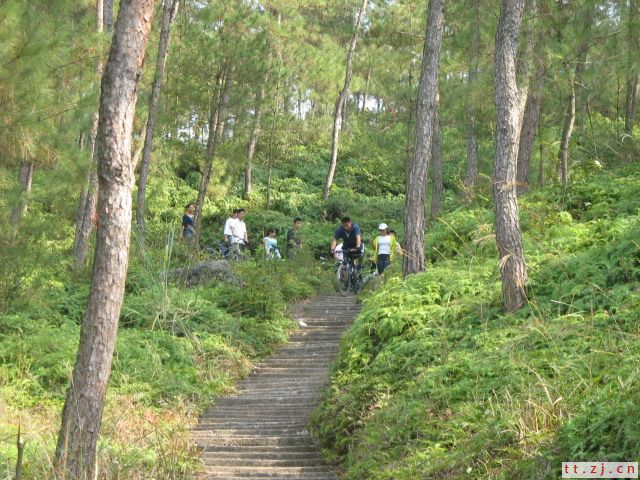 11.5日天台单骑俱乐部再聚青山桌PP