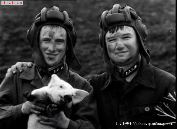 [转帖]猪猪上天记