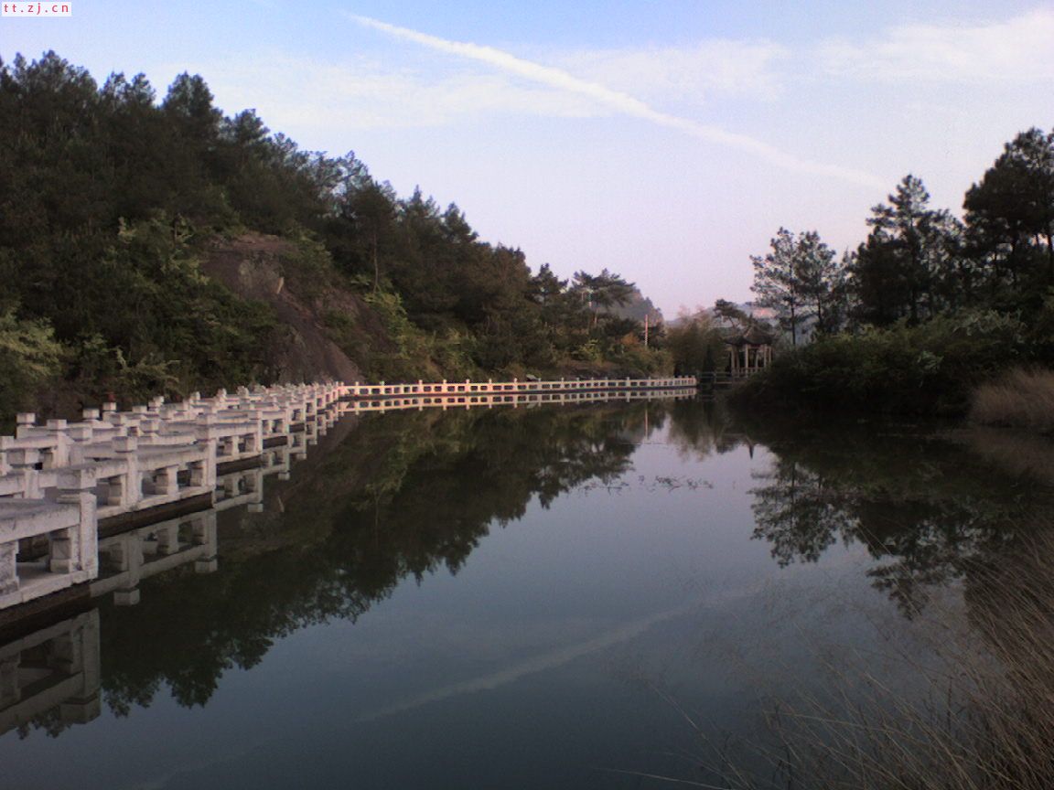 手机摄影专题帖