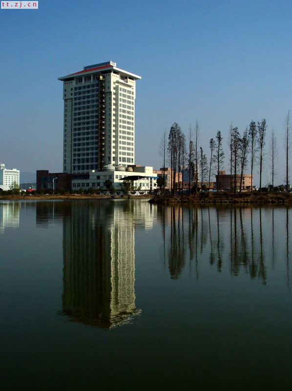 新城