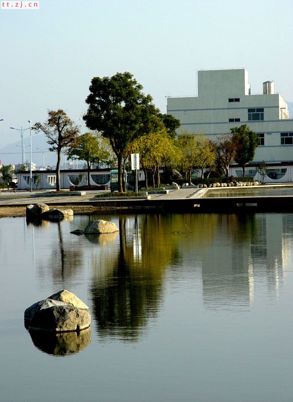 新城