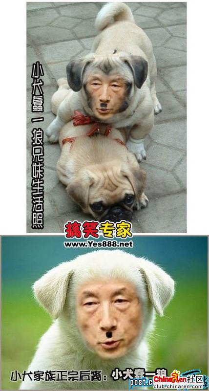 冒死偷拍日本女人偷情!!!包你看了还想看!!!