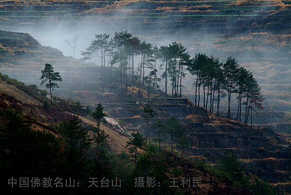 中国佛教名山-天台山-王利民拍摄
