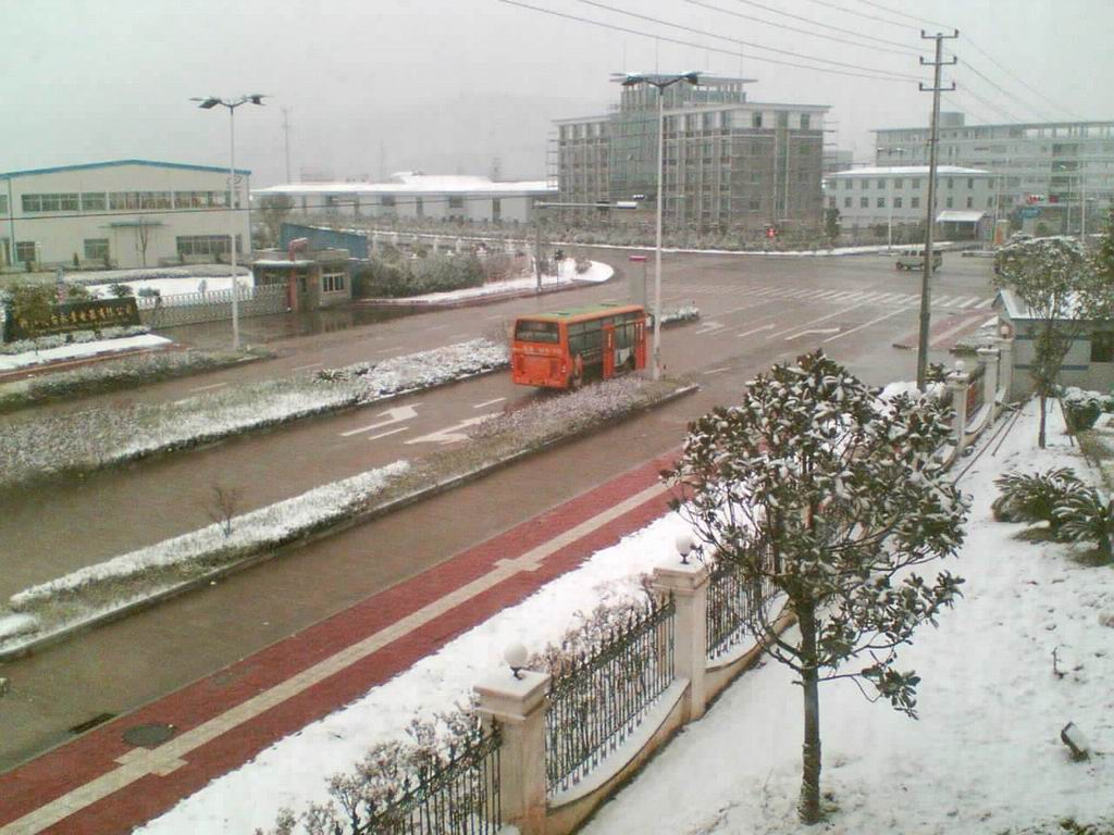 雪(手机拍摄)