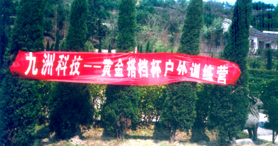 处女贴