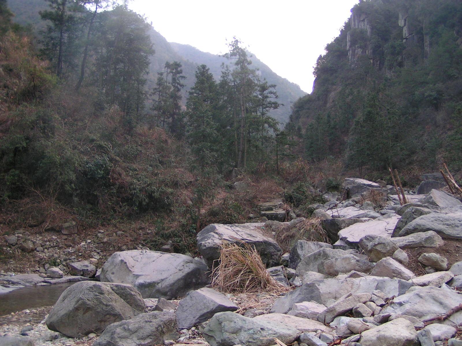 大雷山照片