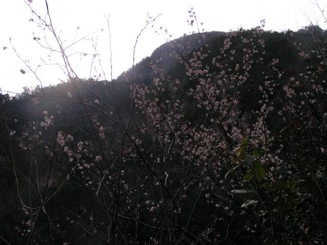 大雷山照片