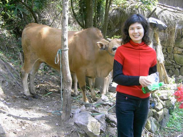 天台山发现东畚大峡谷