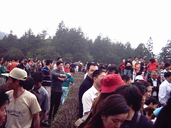 号外!!!!天台山要举办"歌妓"大赛!!!