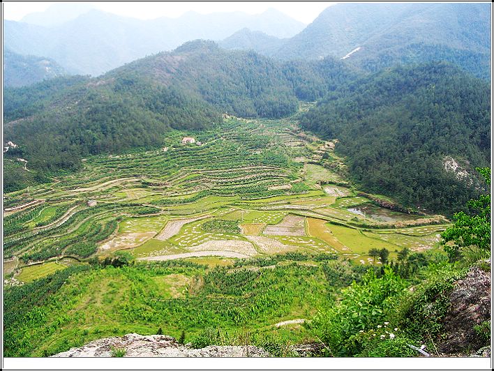 青山桌照片