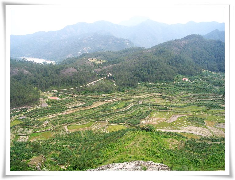 青山桌照片