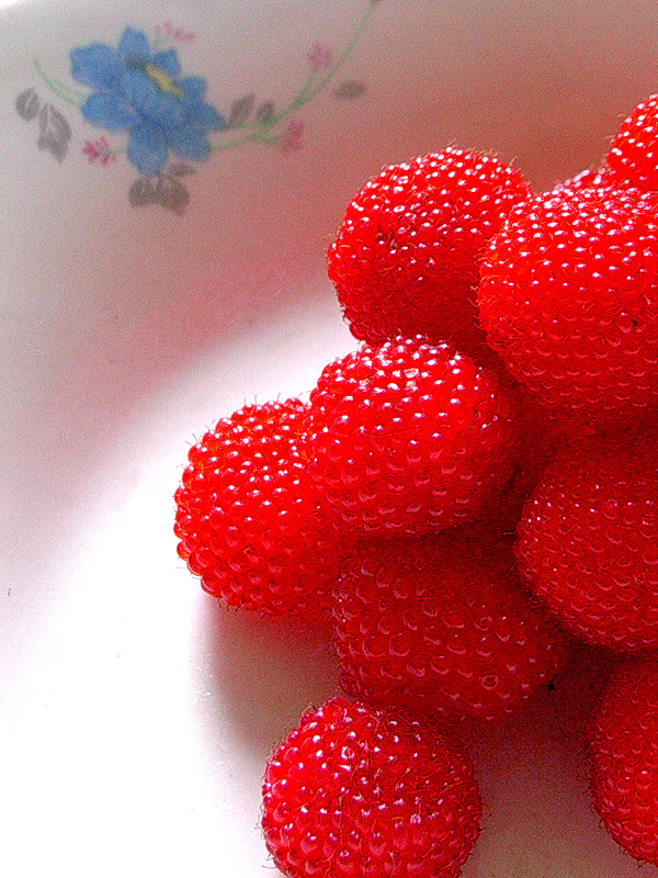 酸酸甜甜就是我