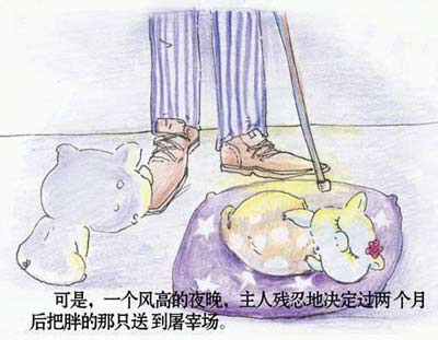 如是的美丽料理の小猪的爱情
