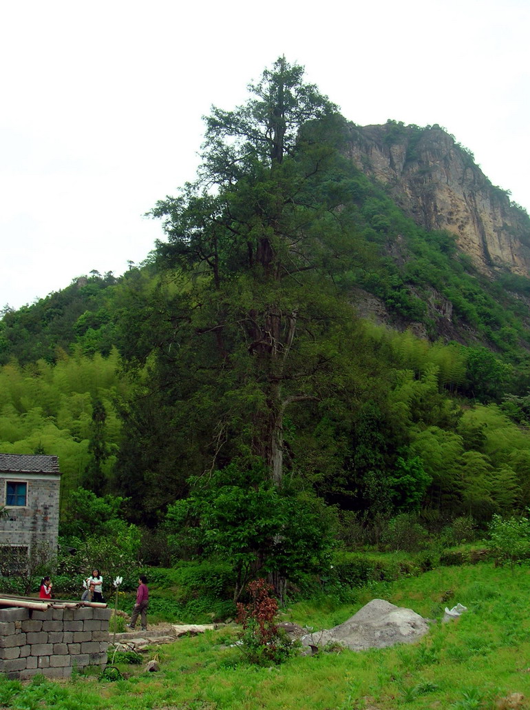 5.1九遮山随拍