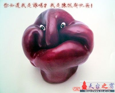 [贴图]搞笑水果派