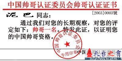 论坛十大帅哥