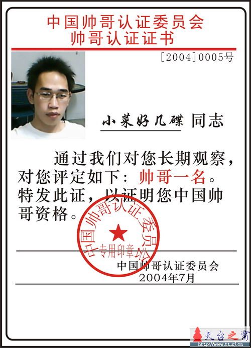 论坛十大帅哥评选活动正式开始