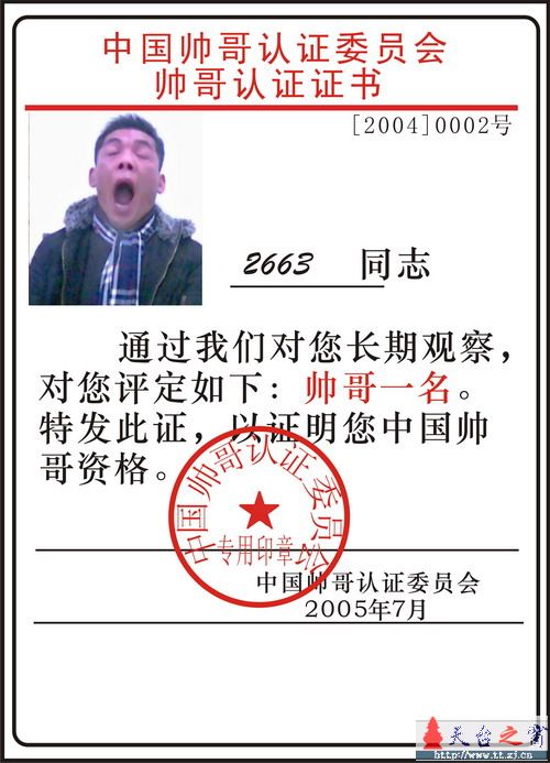 论坛十大帅哥评选活动正式开始