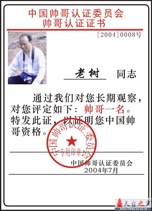 论坛十大帅哥评选活动正式开始