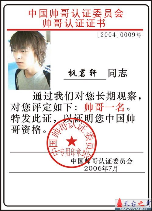 论坛十大帅哥评选活动正式开始