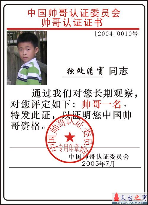 论坛十大帅哥评选活动正式开始