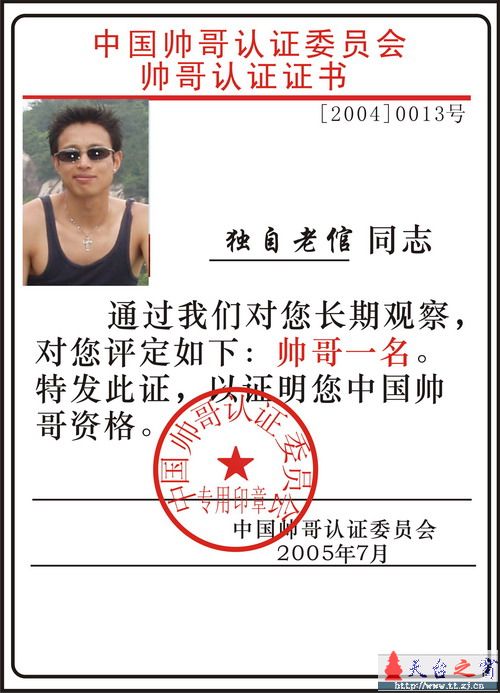 论坛十大帅哥评选活动正式开始