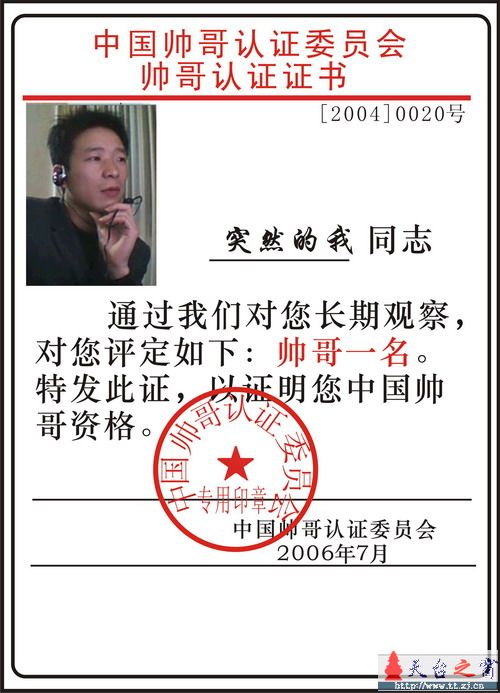 论坛十大帅哥评选活动正式开始