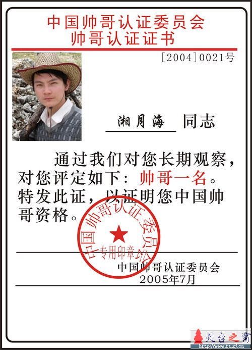论坛十大帅哥评选活动正式开始