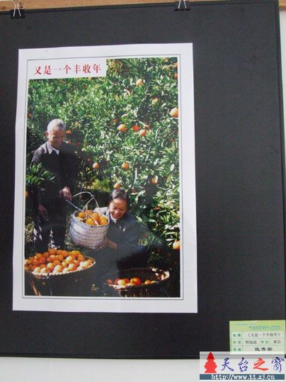 台州首届农民文化节"新农村建设"摄影展