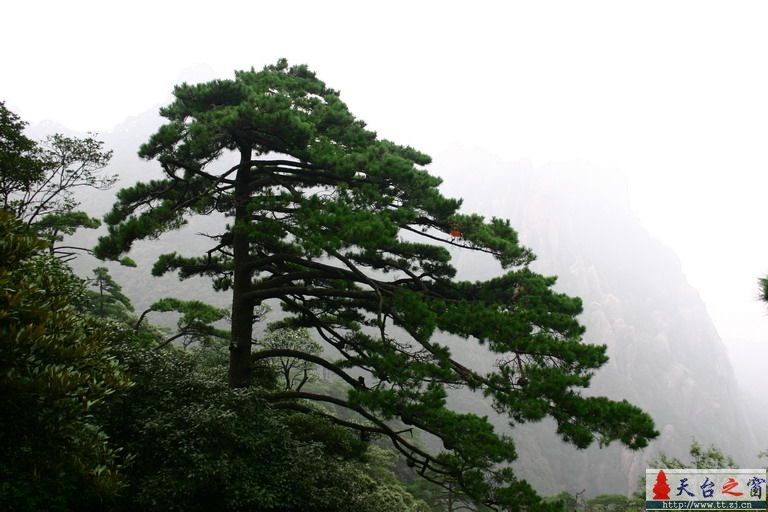8.16-17三清山游记