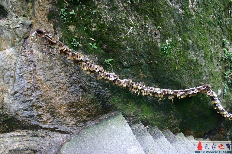 8.16-17三清山游记