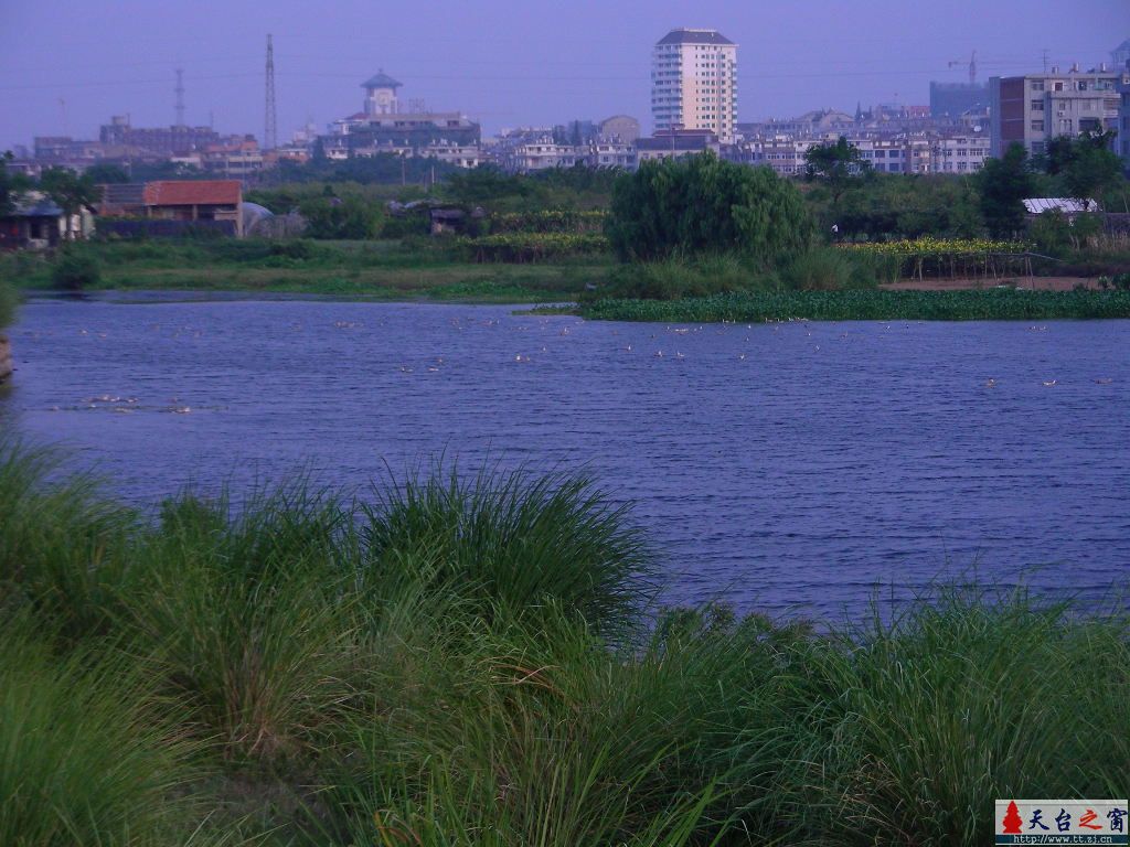 城东湖小景