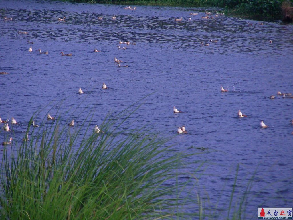 城东湖小景