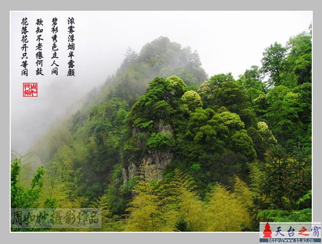 天台山“自驾游”车友会