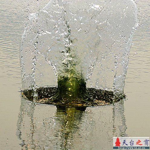 天台始丰溪水怪？