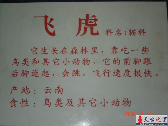 濒临灭绝动物展