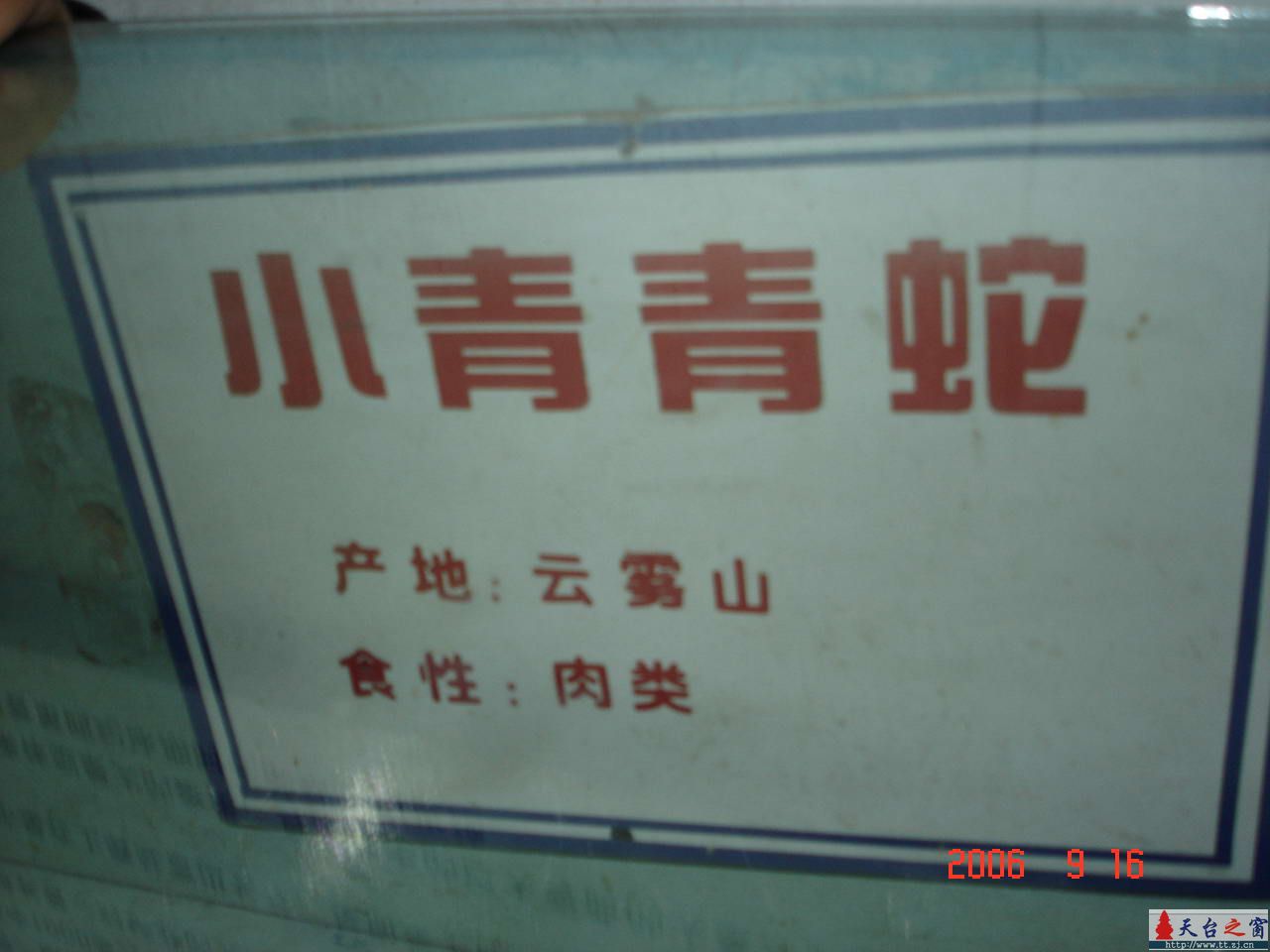 濒临灭绝动物展五