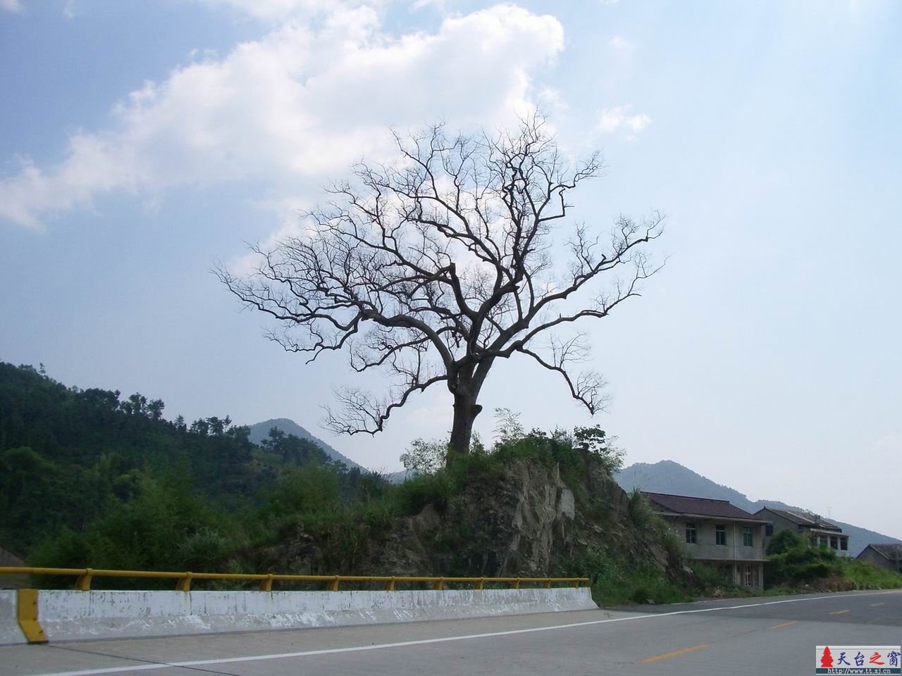〔小轩心情日记〕决定每天记录心情