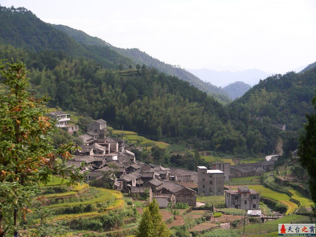 塔头坑村