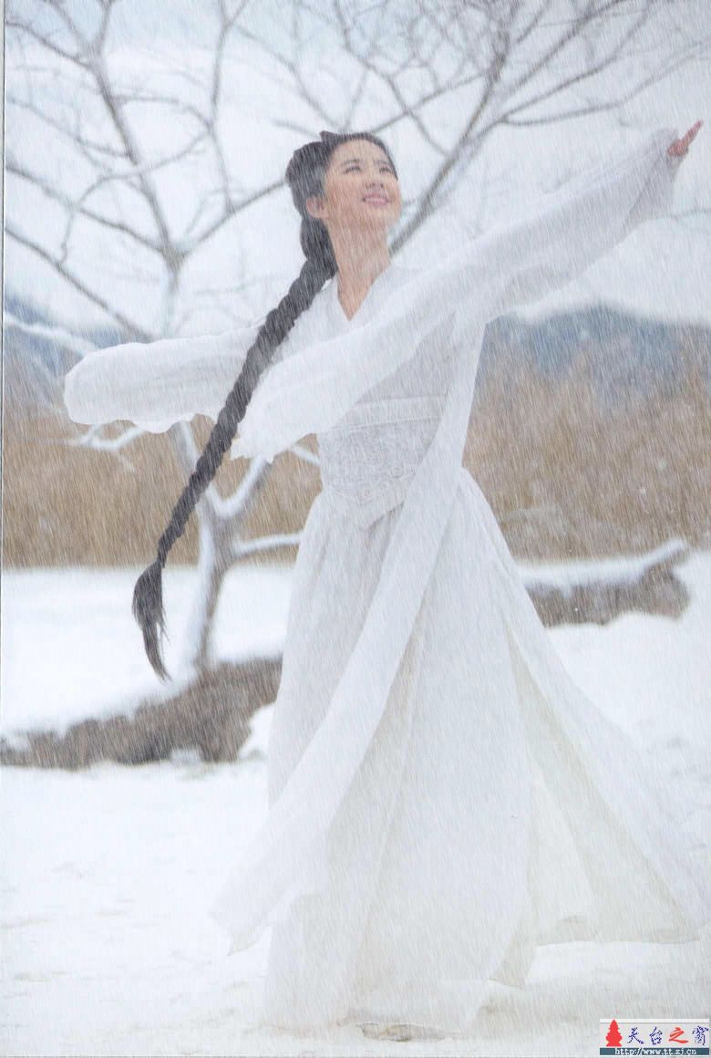 雪花图