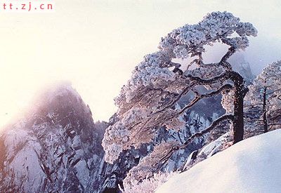 召集帖；冬日黄山行