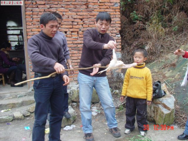 元旦活动PP............