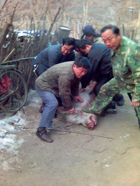这么多人欺负一个算英雄吗？