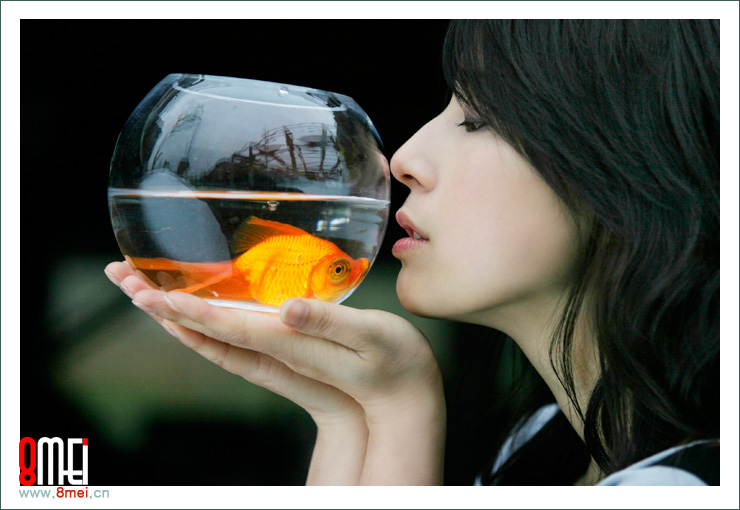 摄影    美女