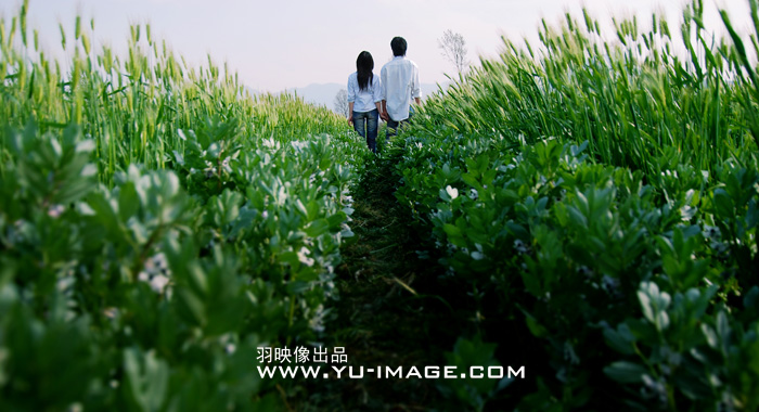 有一种爱叫幸福