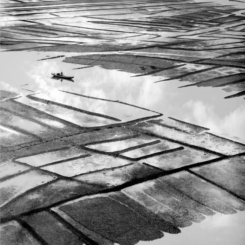 [公告]到霞浦看海去