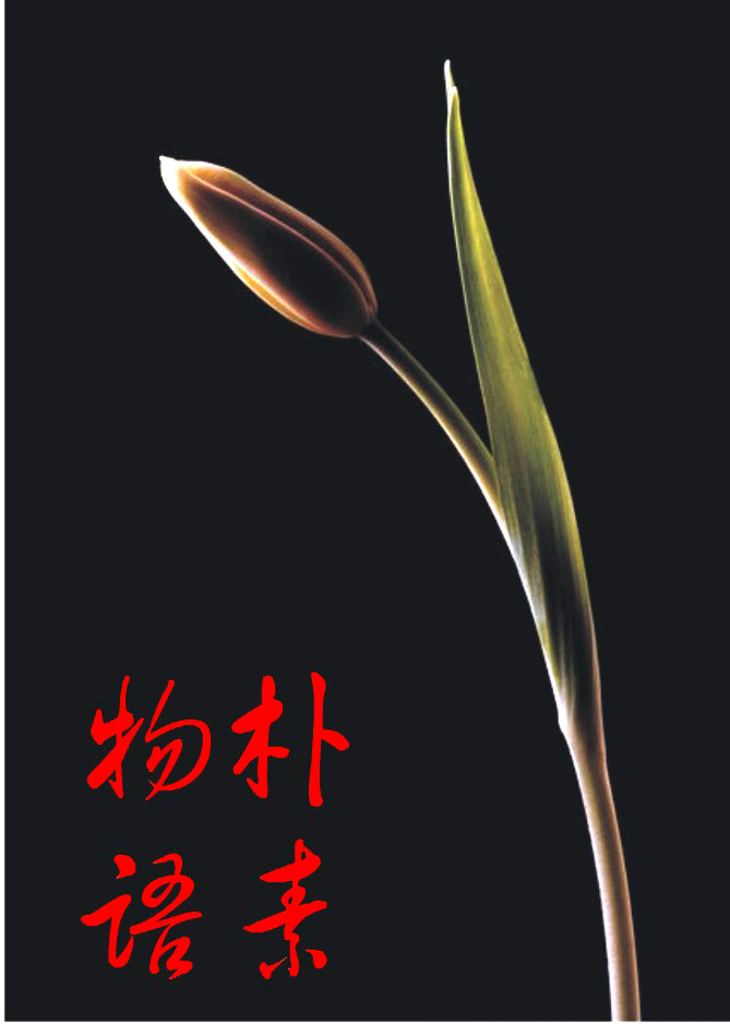 发张图片用用